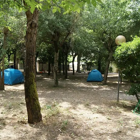 Dolce Sole * Marina di Massa