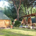 Dolce Sole