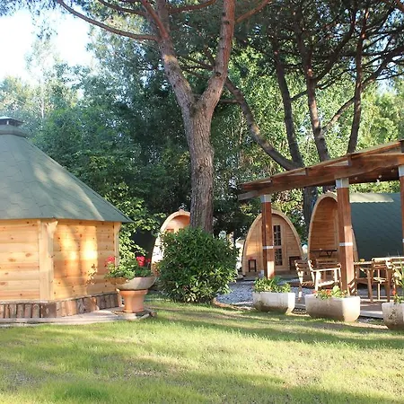 Dolce Sole