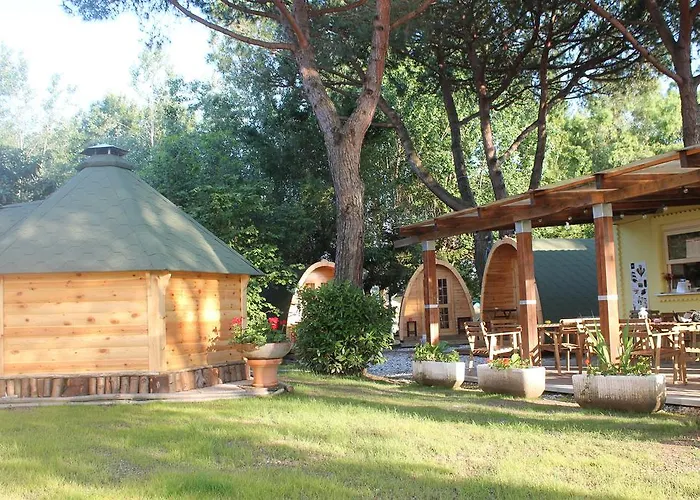 Dolce Sole